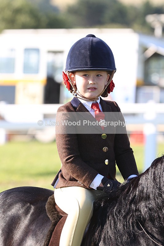 JPP_0731 - Class 16: Cornish Combination Leading Rein