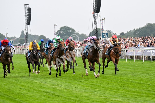 250725-Race 3-Amakhala Warrior-0504 - Race 3 6.38pm Ire-Incentive, It Pays To Buy Irish EBF Restricted Novice Stakes