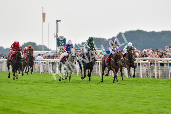 100923-Pony Race 2-Its Fatherted-1685 - Pony Race 2 12.45 The Dragon (TV and Film) Studios Pony Race 148cm & Under