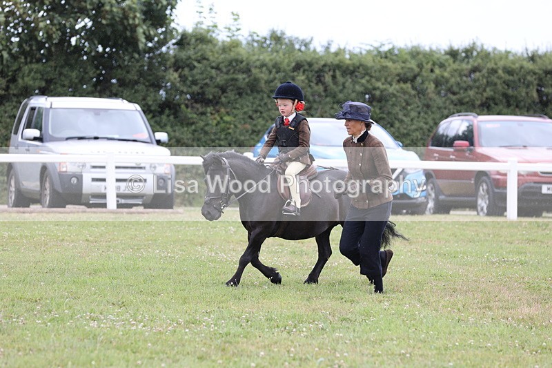 JPP_1728 - Class 18: Tiny Tots Working Hunter Pony