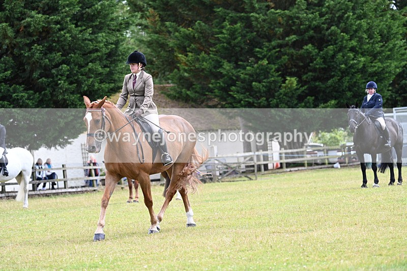WJ7_9294 - Class 8 Ridden Veterans