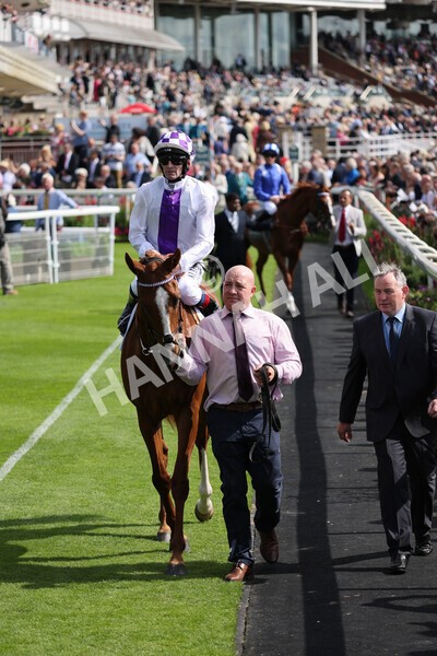 yr18082021r4-38 - Race 4 3.35pm Juddmonte International Stakes (British Champion Series race)