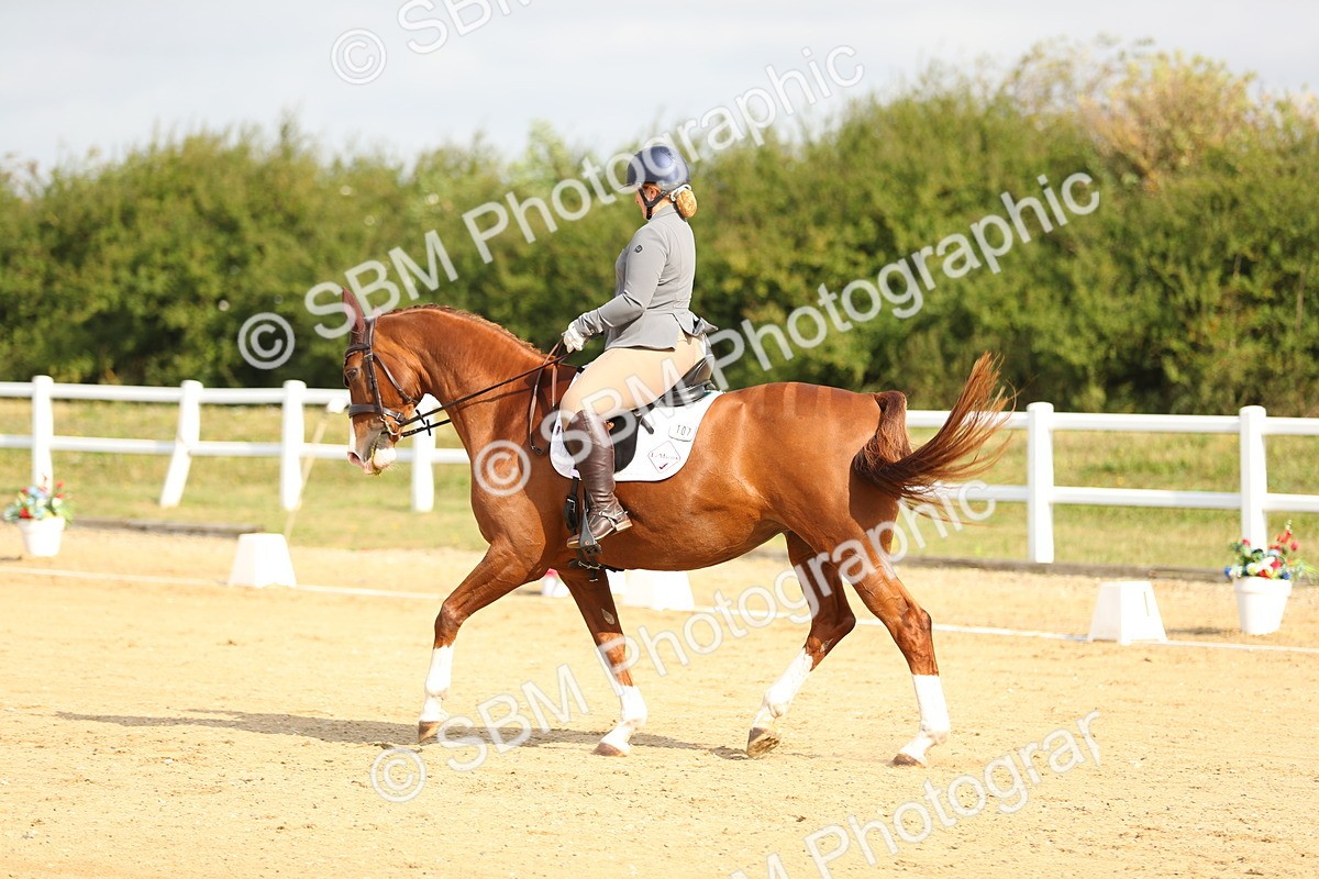 SBM_015449 - Class 14 - Novice 23 - 9.05-10.08