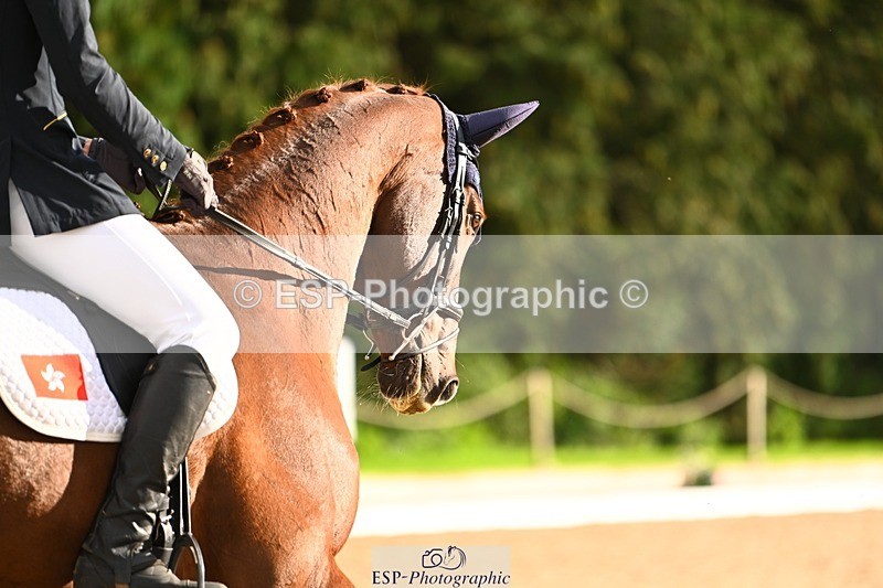 231021-151945-20817 - 257-LOXLEYS.LAST.STAND-Owen.Wong-DR