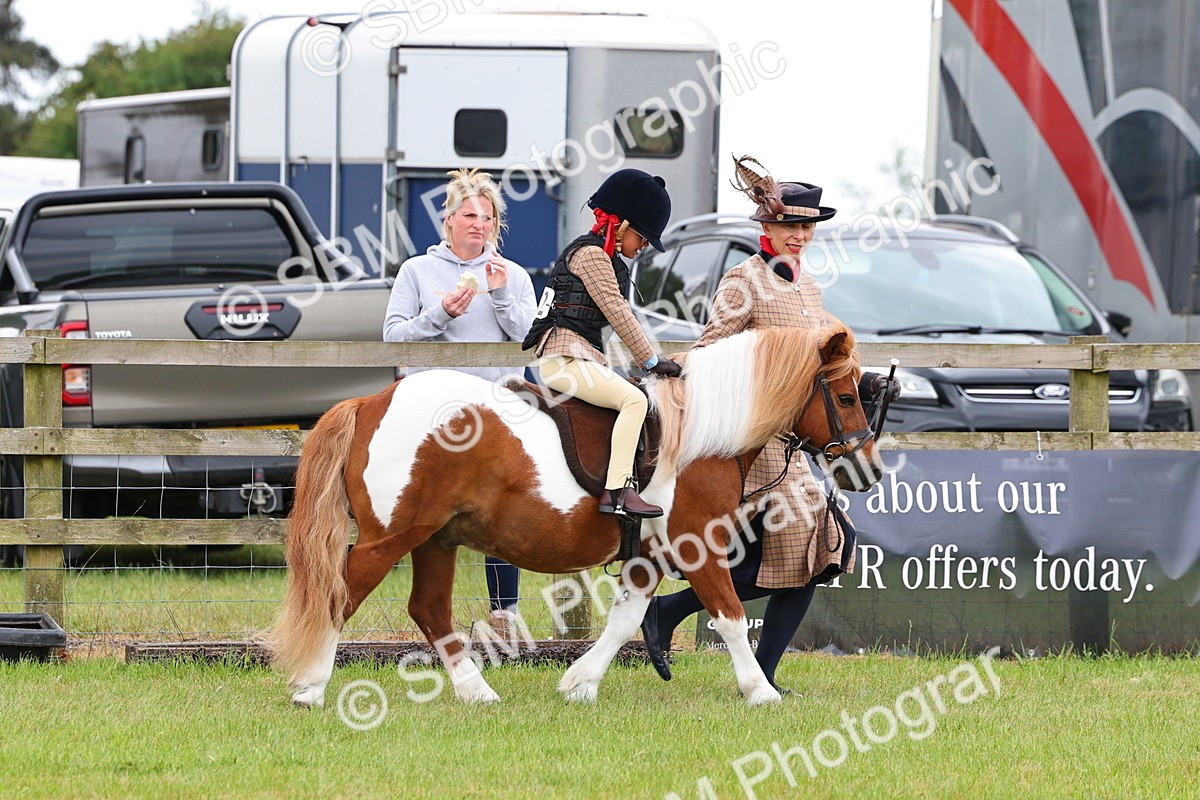SBM_08231 - Class 42-43 - LIHS BSPS Heritage Working Sports Pony