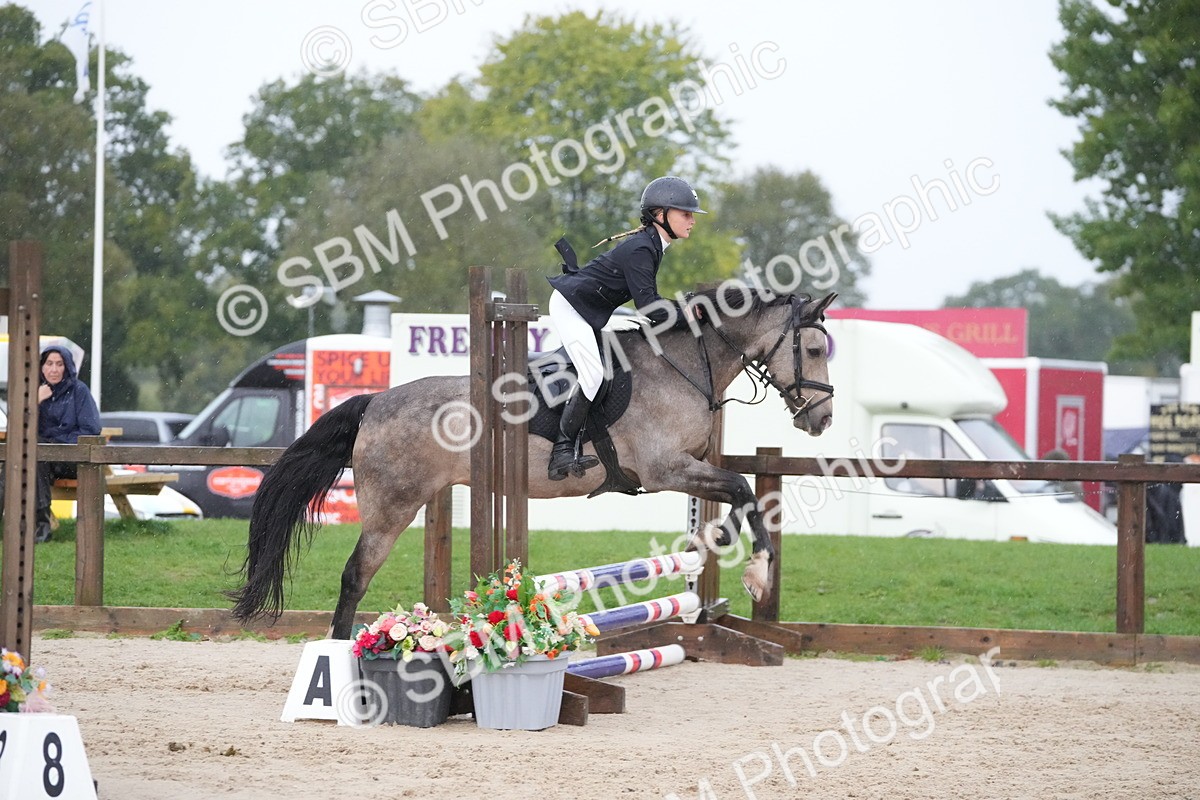 SBM_33535 - J5 - Junior Pony 50cm Championship