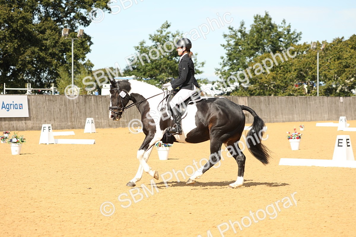 SBM_22181 - D17 - Grand Tour Championship - Novice 27