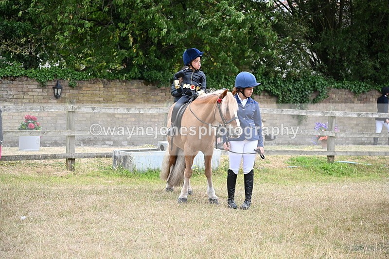WJ6_9122 - Class 11 Fancy Dress