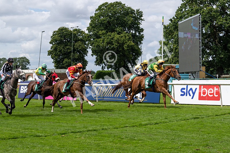 260724-Graham Lee Stable Staff Stakes-3397 - Graham Lee Stable Staff Stakes