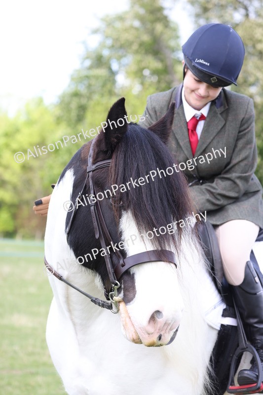 20250427-4092 - Class 34 - Best Riding Horse Over 14.2hh