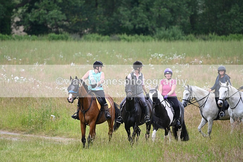 WJ6_8339 - Camera 1 Gallops