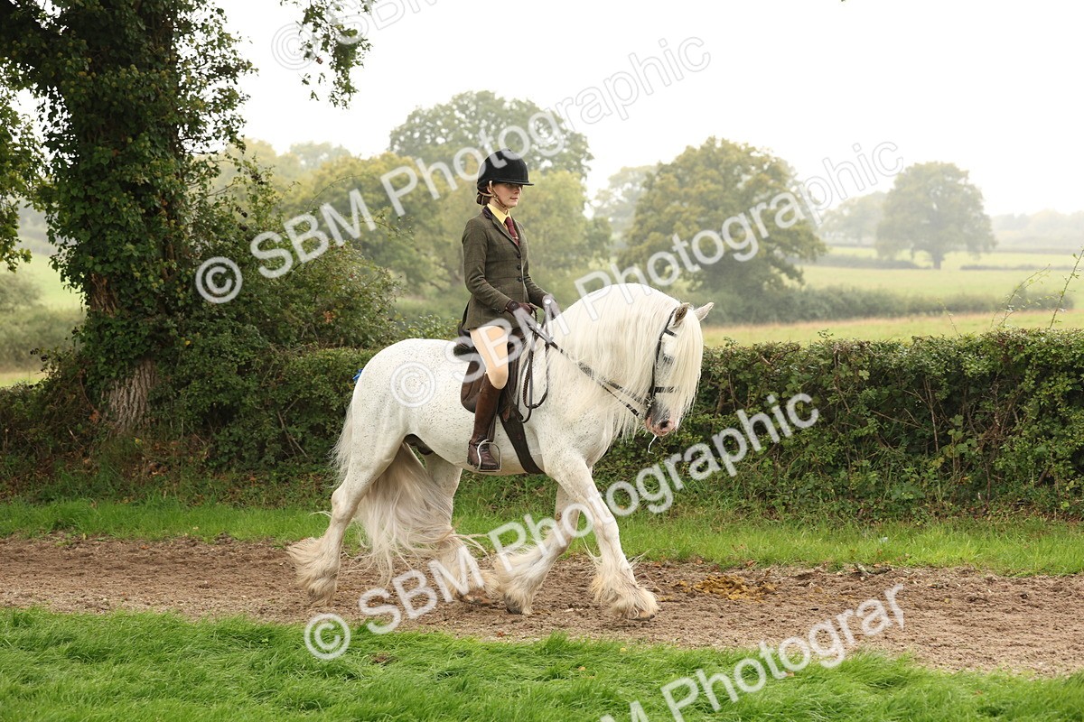 SBM_72669 - S70 - Traditional Cob Ridden