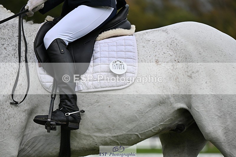 251024A-134313-12218 - D-364-Samantha.Holland