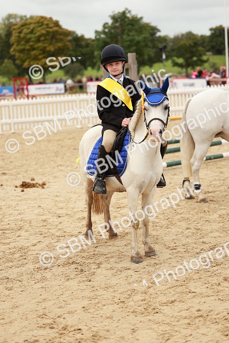 SBM_58080 - J11 - Junior Pony 50cm Championship