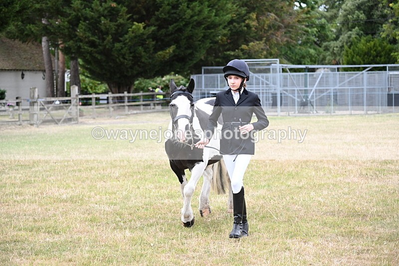 WJ6_4223 - Class 10 Coloured In-hand
