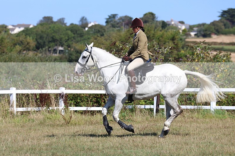 3E7A5866 - Class 5: Working Hunter 90cm