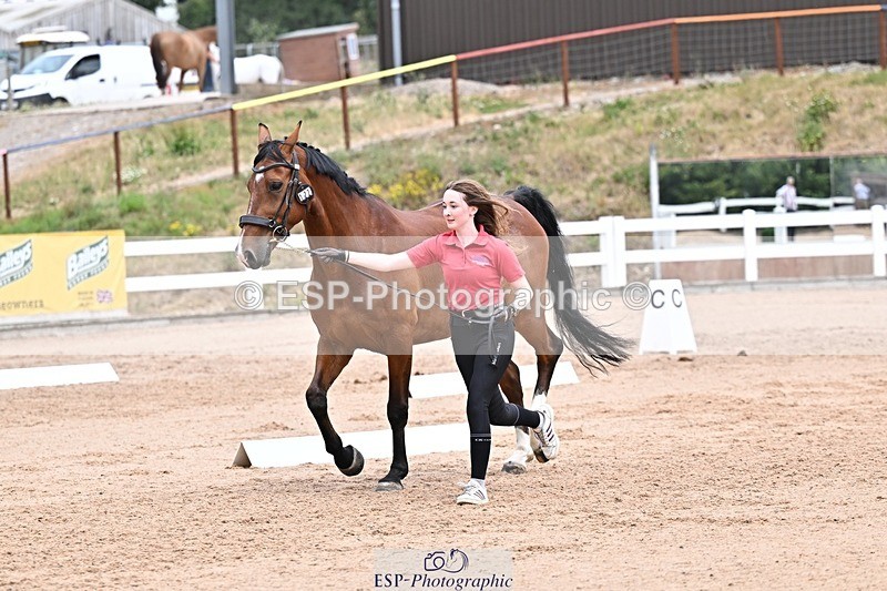 250716-133536-00585 - Trot Up 1.30 to 2.30