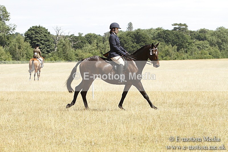 _BS_0739 - BVRC Show 2018 Ring 1