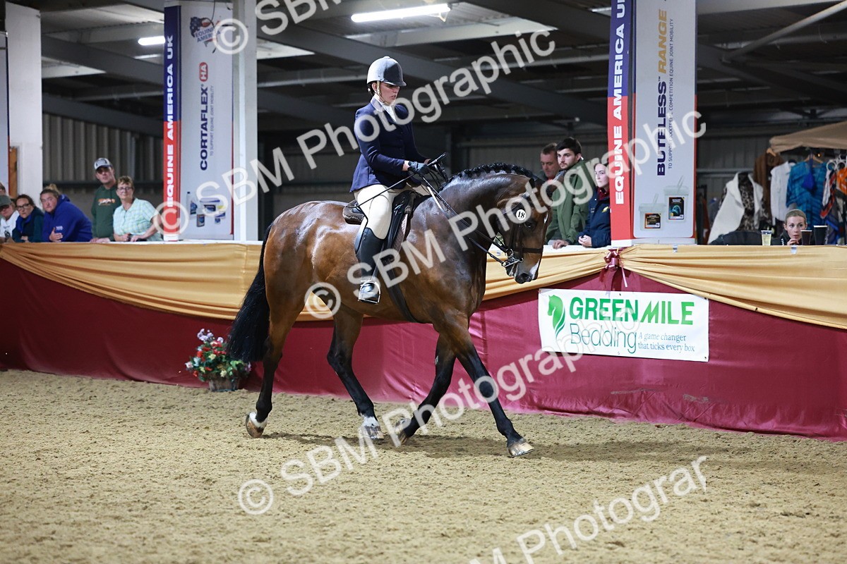 SBM_21155 - class Q - Ridden Horse Champ