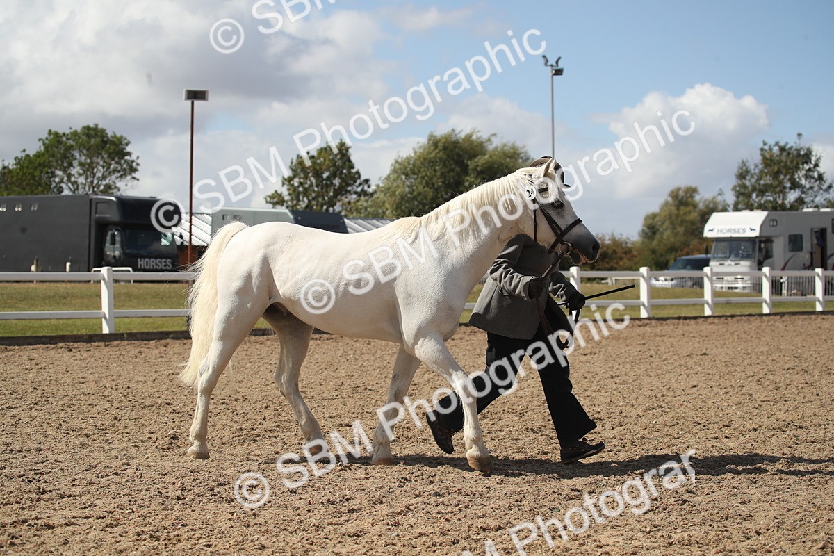 SBM_23533 - Class 605 - 2026 - Area - IH Veteran