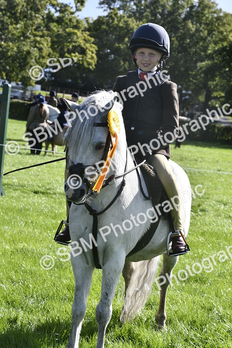 SBM_37248 - S31 - Novice & Newcomer Working Hunter Pony