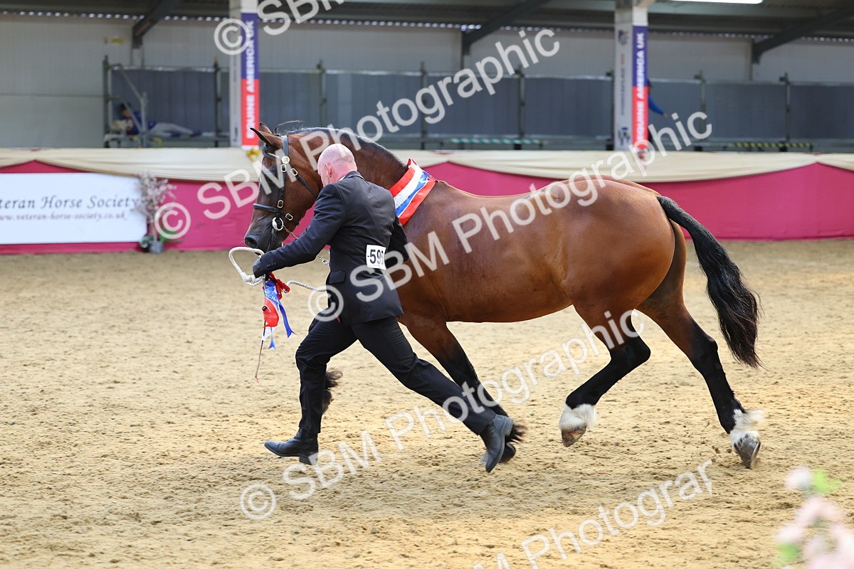 SBM_23275 - Supreme Final - IH Champion