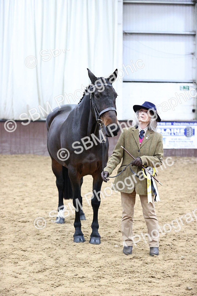 SBM_5775 - Class 3 - BSHA In Hand Show Hunter