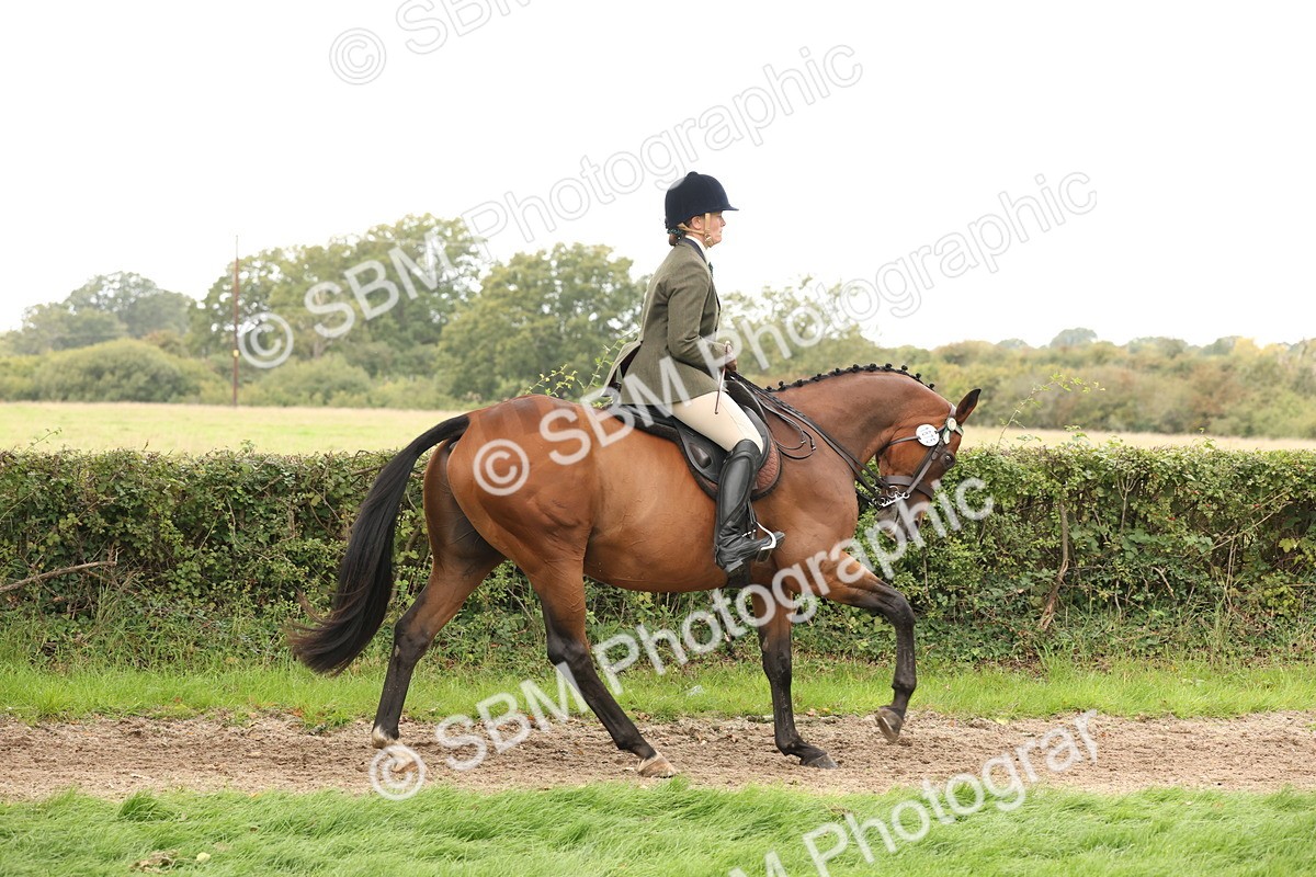 SBM_64199 - S65 - Riding Horse & Hack & Thoroughbred Ridden