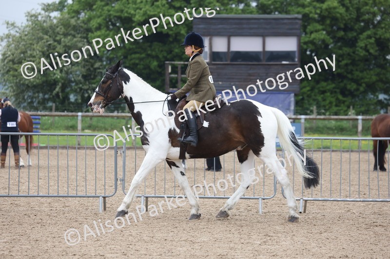 20260504-1036 - Class 14 - Cob and Hunter