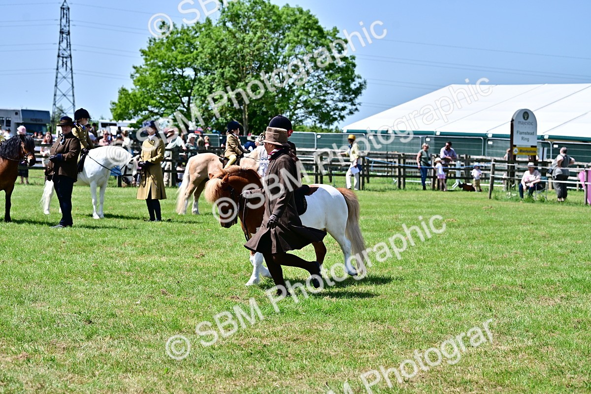 SBM_05800 - Class 59-60 - TSR M&M  Lear Rein and First Ridden Amateur of the year