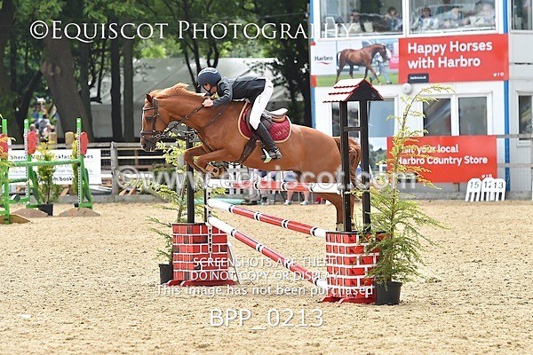 BPP_0213 - RHS 2019 Selection - *Just some random spectator shots so Lucky Dip if you are there!