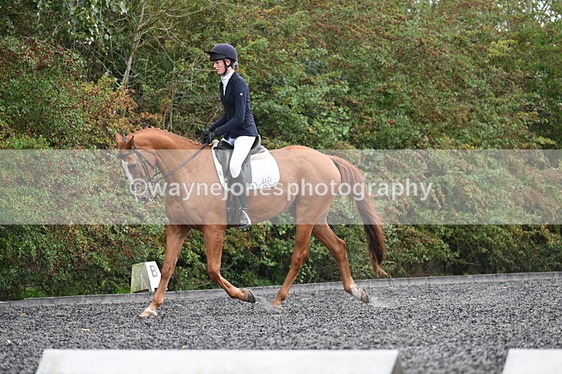 WJ7_6727 - Time 14:49 to 15:14