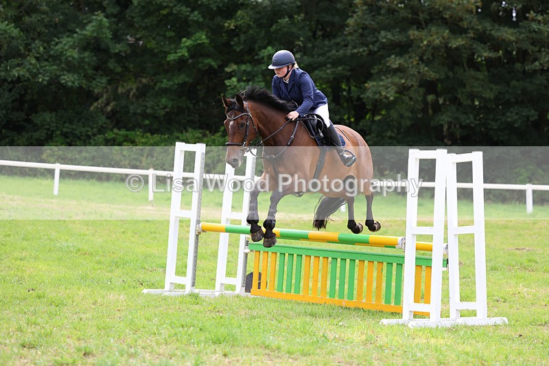 3E7A7381 - Class 5: Senior British Novice/90cm open