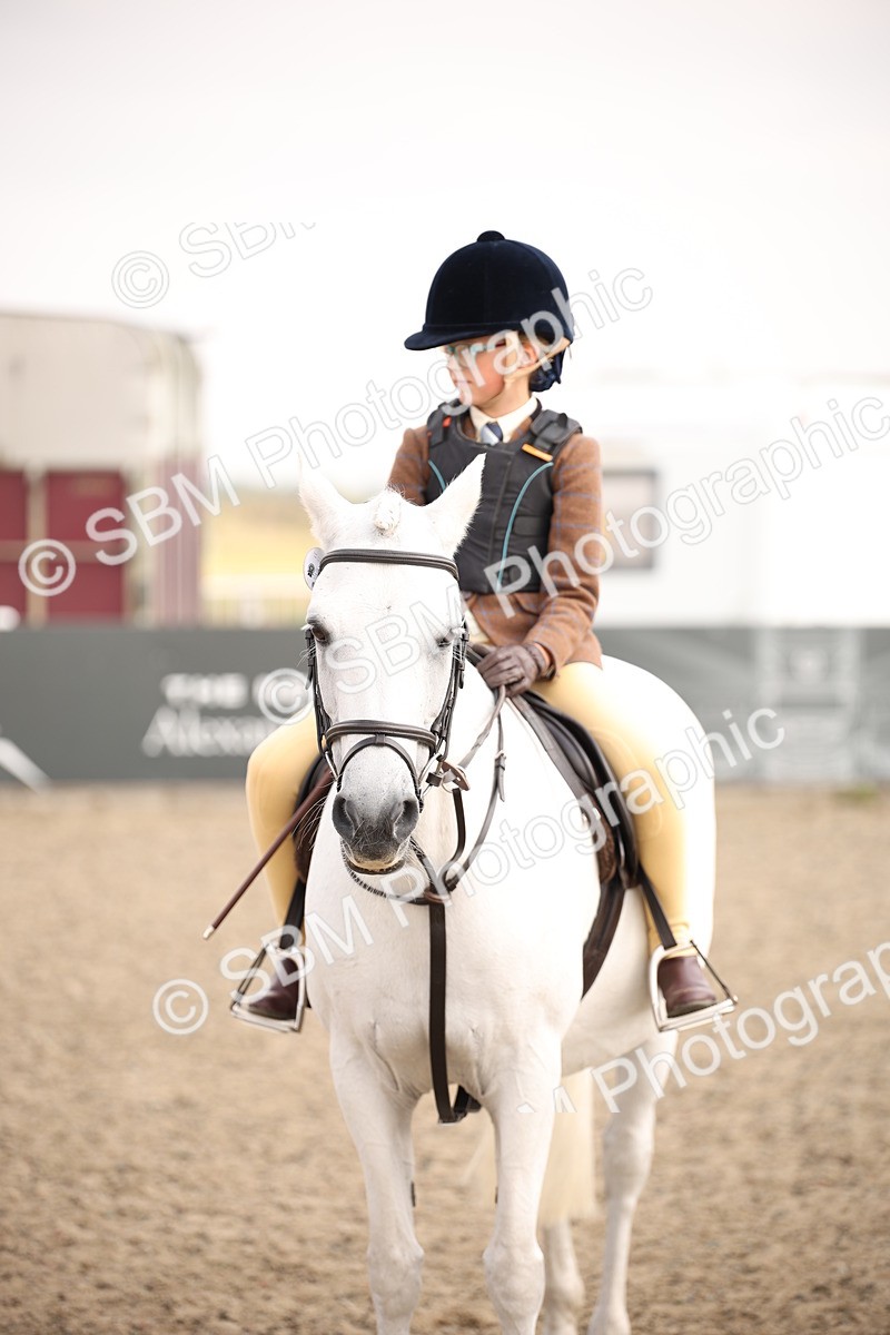 SBM_11701 - Class 404b Junior Working Veteran- 40cm(20+)