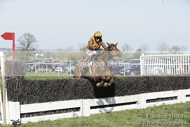 PtP 260317 286 - Mendip Farmers Point-to-Point Ston Easton 26/03/17