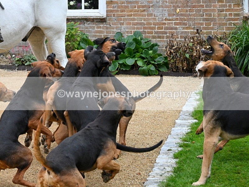 WJ7_6128 - Berks & Bucks - Children's Meet - The Old Farmhouse – Steventon.