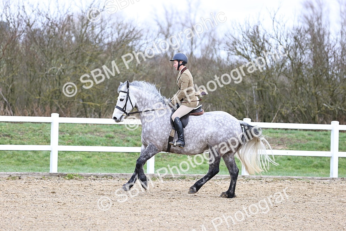 SBM_006956 - Class 29 - 30 - M&M Pure Novice Small-Large Breeds
