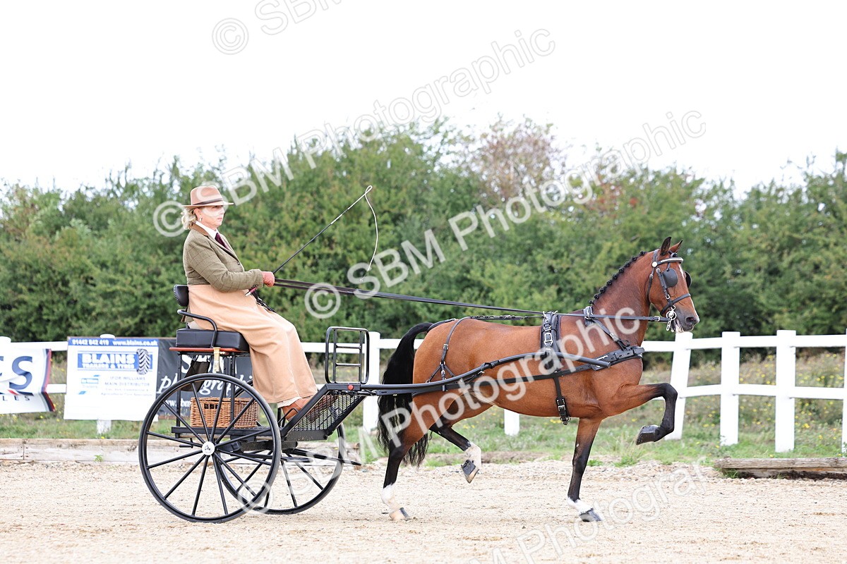 SBM_000272 - Class 2 - Exercise Vehicle 13.2hh & Under