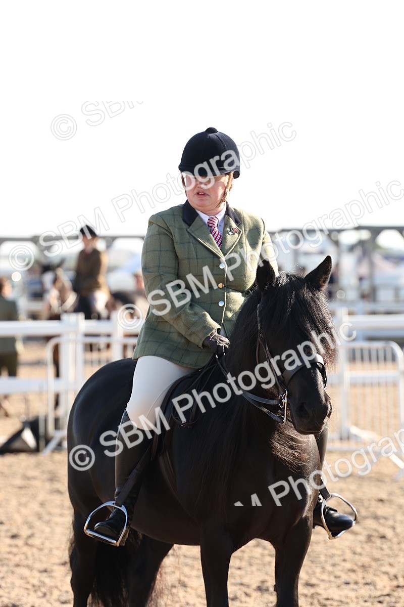 SBM_10833 - Class 202 - Best Turned Out - Ridden