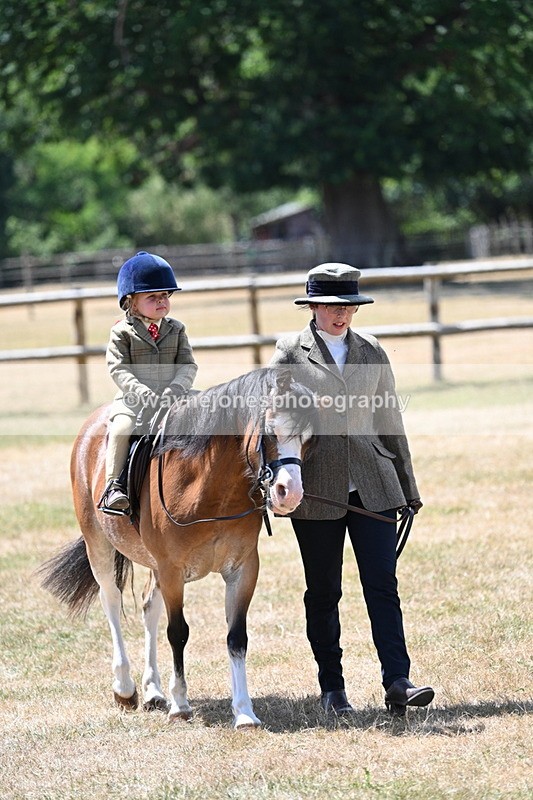 WJ7_2553 - Class 6 Ridden Mountain and Moorland