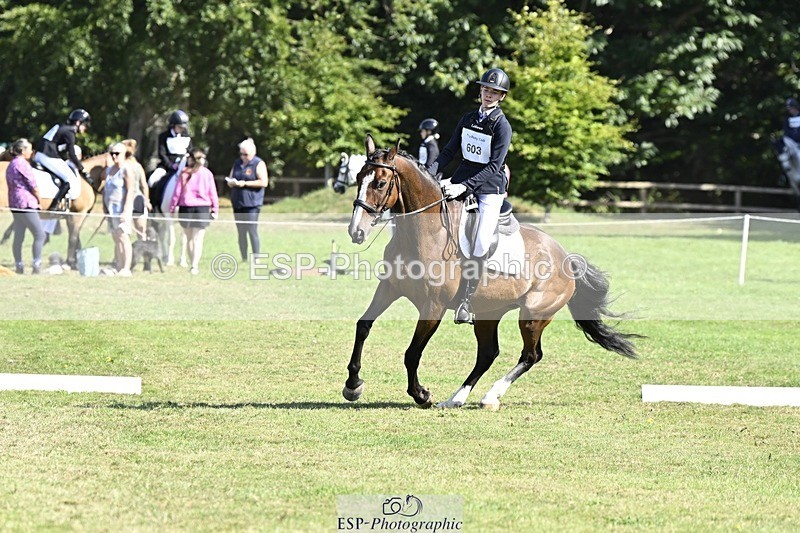 250822A-103146-20282 - DR 10.00 to 11.00