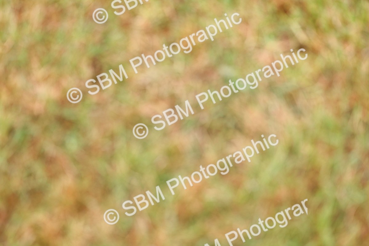 SBM_02682 - Class 9-11 Side Saddle including LIHS Rising Star Ladies Show Horse