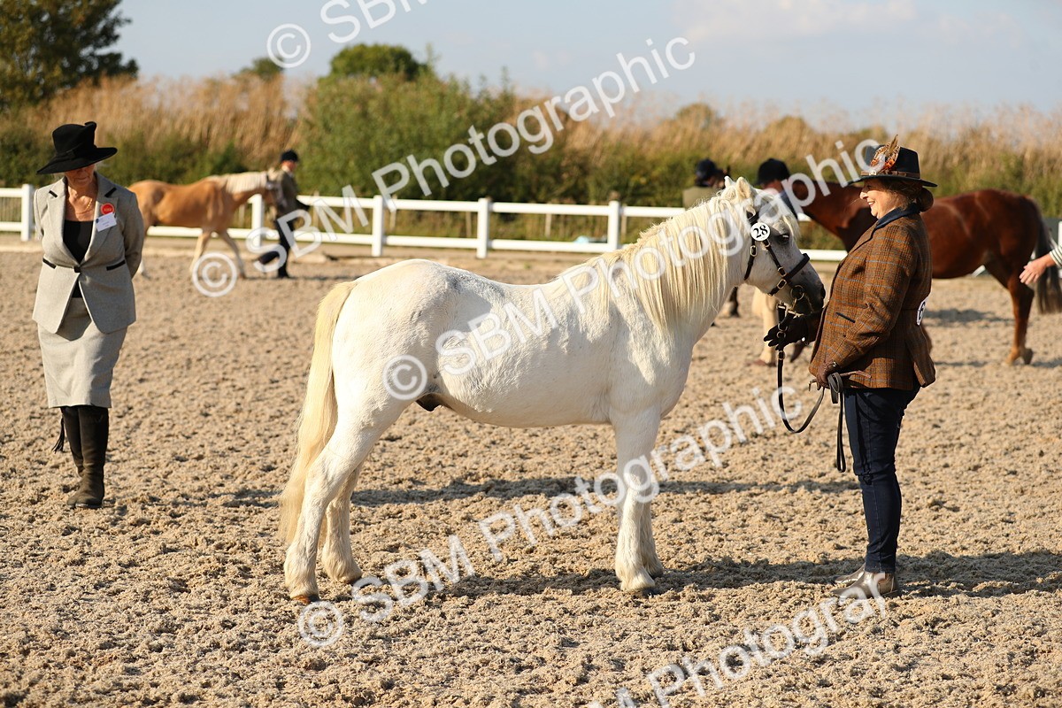 SBM_08964 - Class 29 IH Veteran Pony