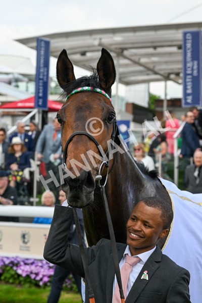 160524-Race 3-Bluestocking-5758 - Race 3 3.15pm  Al Basti Equiworld Dubai Middleton Fillies' Stakes