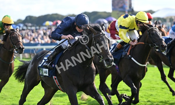 220825-250 Frescobaldi - Race 6 4.45pm British Stallion Studs EBF Convivial Maiden Stakes