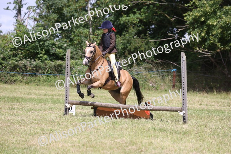 20260614-1893 - Class 21 - Novice Working Hunter Pony