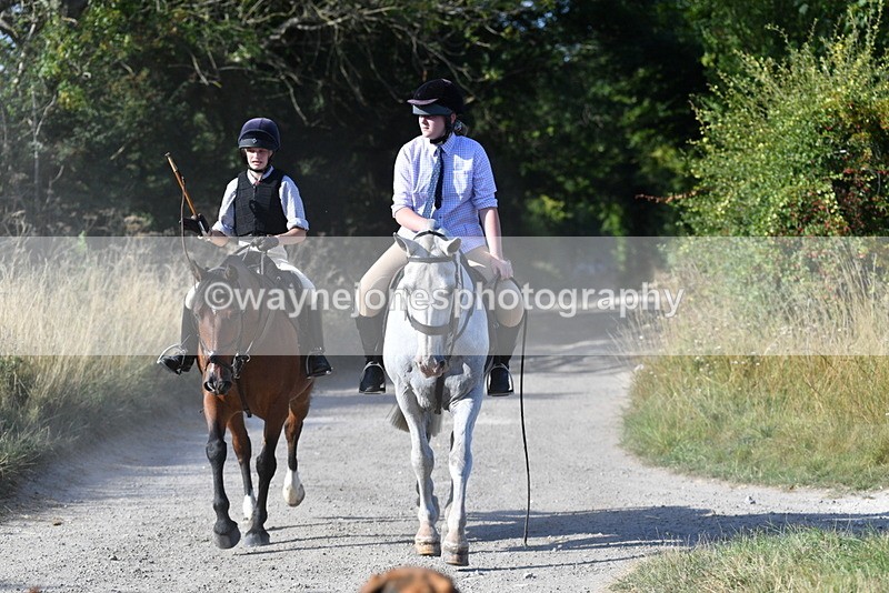 WJ5_4817 - Walk out with the hounds