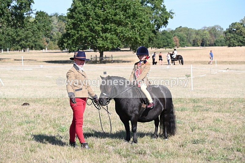 WJ6_7651 - Class 34 Judges Choice