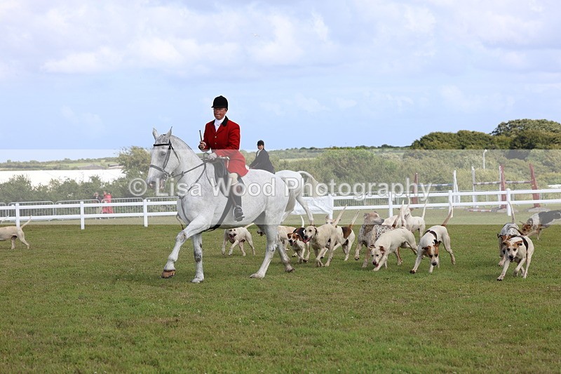 3E7A3383 - Parade of Hounds