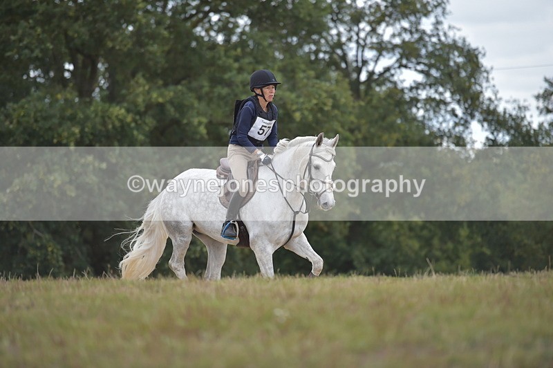 NGP_2217 - XC Time 11:20 to 11:36